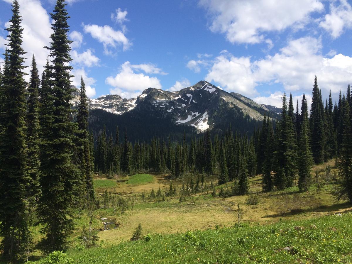 Alpenrose Revelstoke Bed & Breakfast المظهر الخارجي الصورة